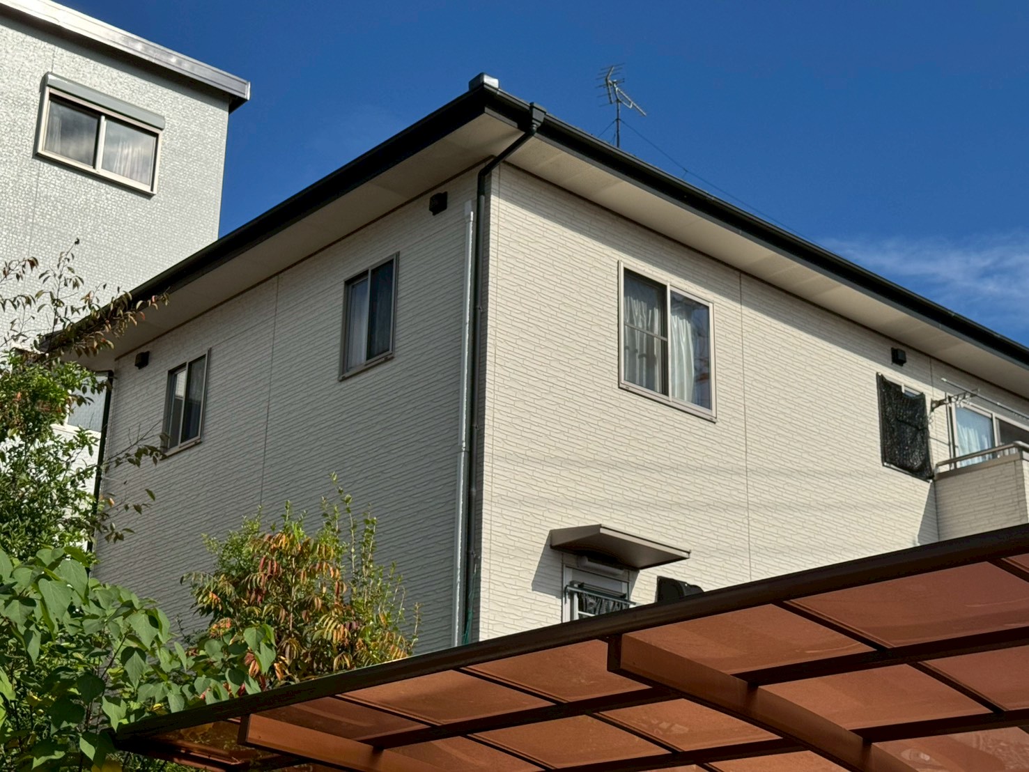 Before画像